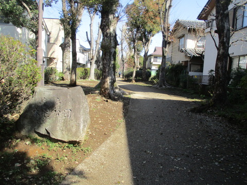 15本村公園10