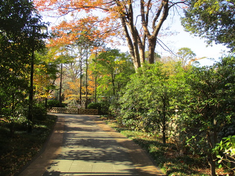 47東郷神社6