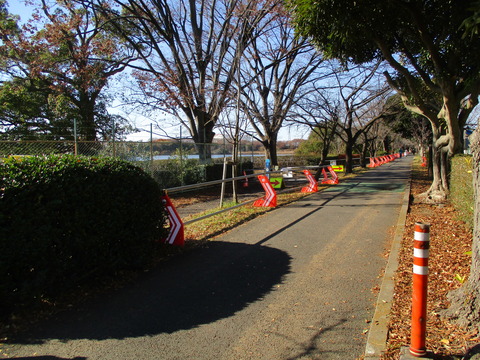 183公園へ1