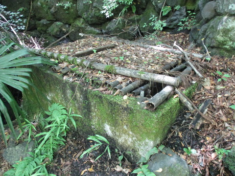 226馬の水のみ場5