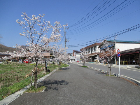99南桜通り終点2