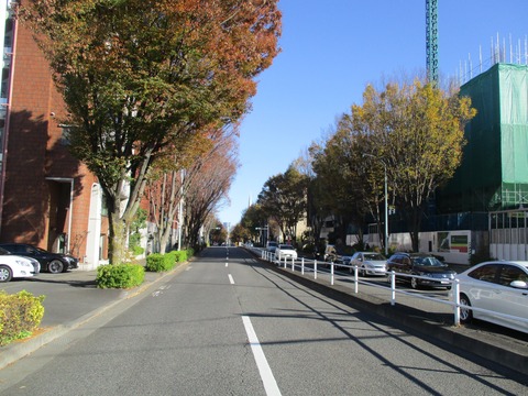 104大山交差点2