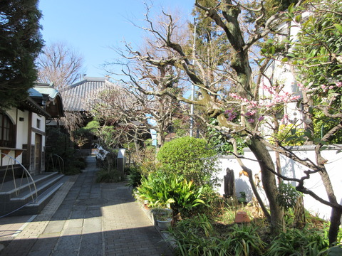 60蟠龍寺９