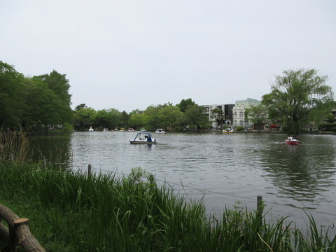 82石神井公園５