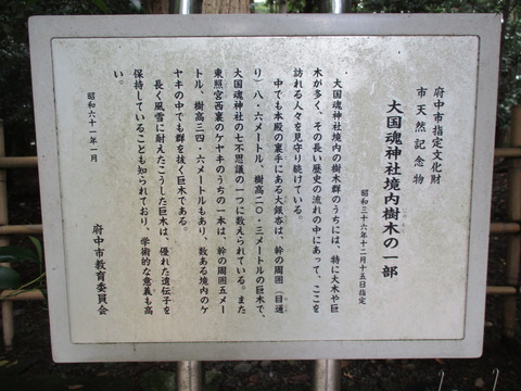 138大木2