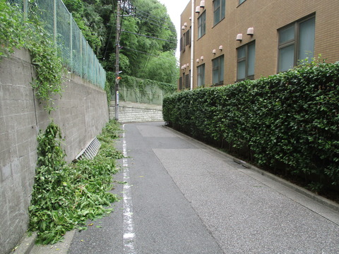 49犬坂3