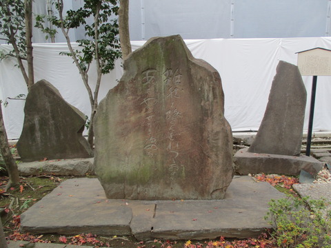 149傳通院29