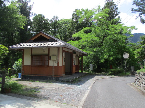 109-1槐木1