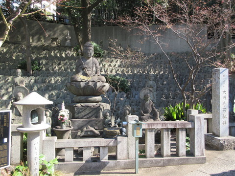 142大圓寺４３