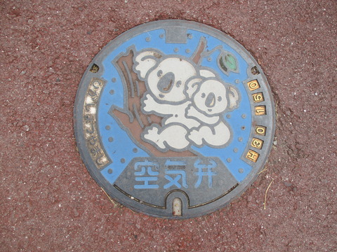 33コアラ