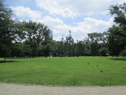 107新宿中央公園４