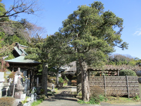115西光寺