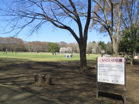 121小金井公園2