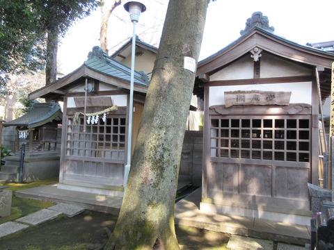 41寿福寺12