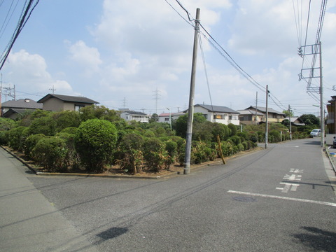 21つつじ畑1
