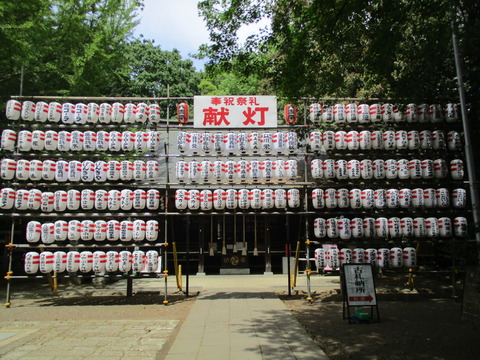 173献灯