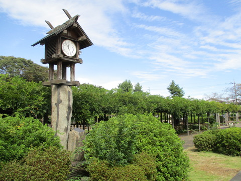 105公園内3