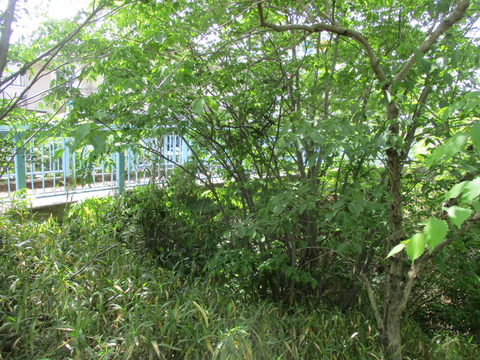 64小川橋5