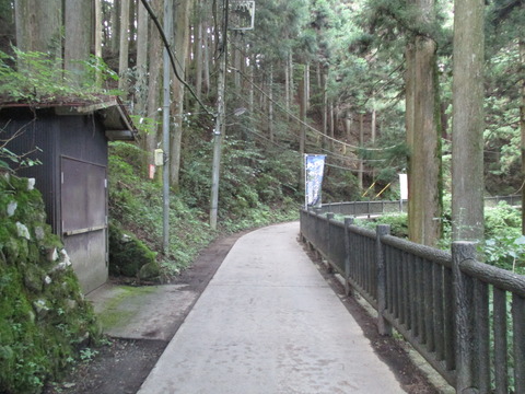 234舗装道