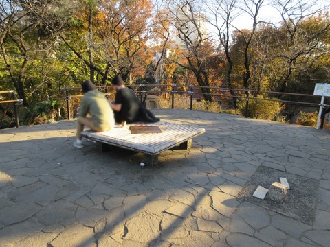 228戸山公園12