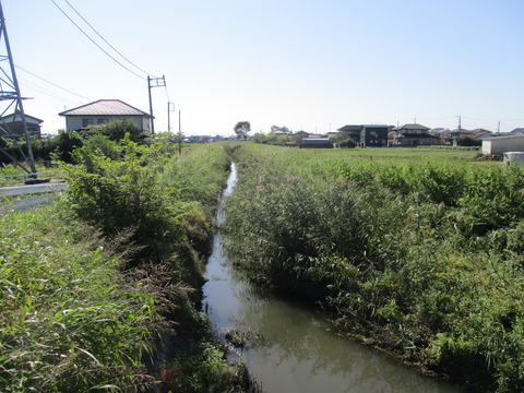 14庄兵衛堀川1