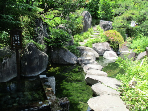 49目白庭園10