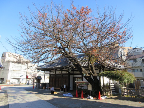 162感通寺18