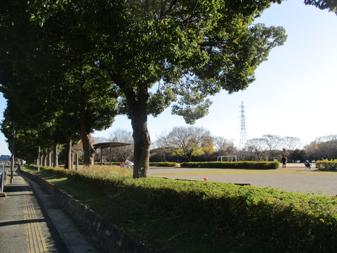 221総合運動公園4