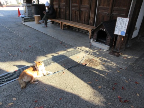 164感通寺20