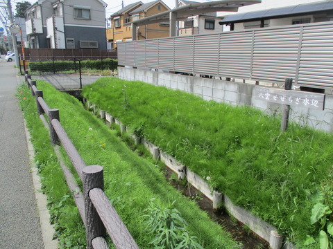 196小川用水5