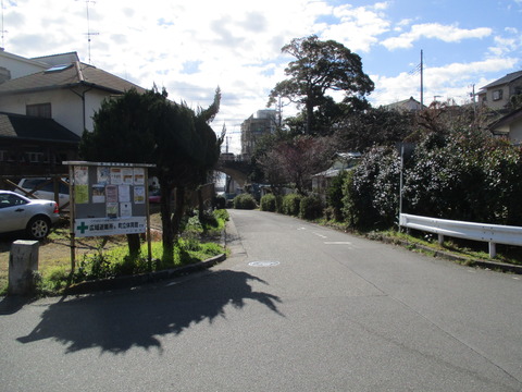 61海岸へ