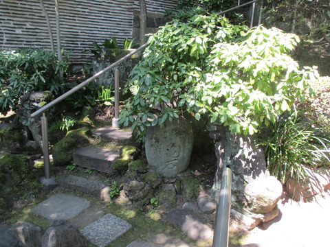 57庭園６