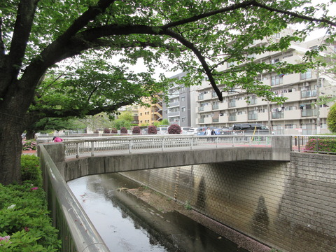 41こぶし橋