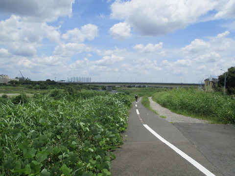 80遠くに稲城大橋