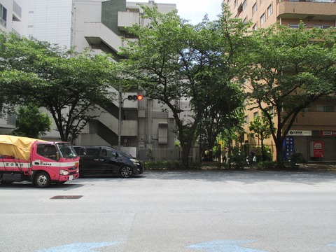 09-5いもり川3