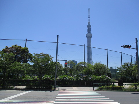 87隅田公園