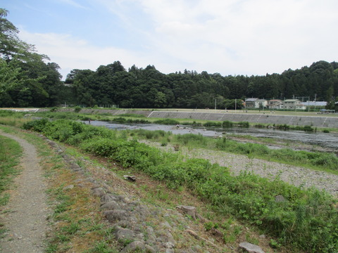 239遊歩道3