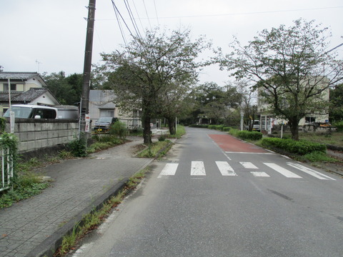 71北桜通り3