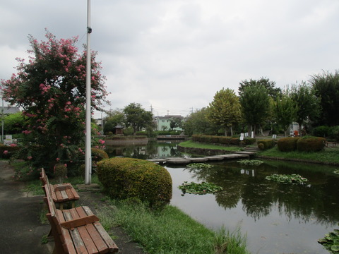 06下沼公園2