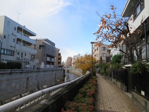 97月見橋2