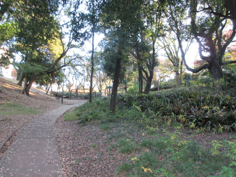 219戸山公園3