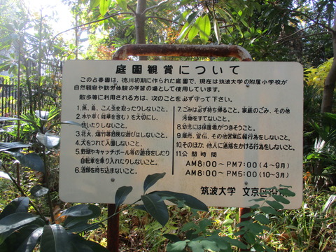 53占春園3