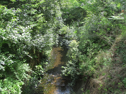 42西中島橋4