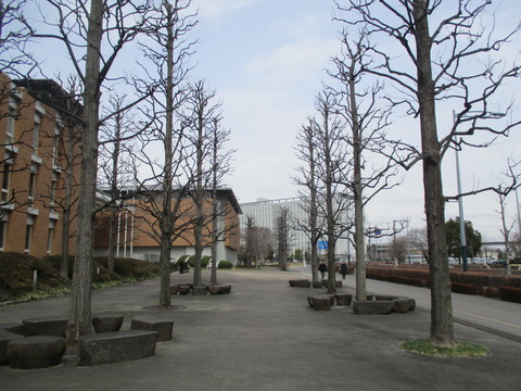 73自治大学前交差点近く