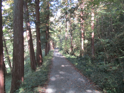 148川沿い1