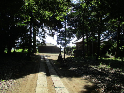 215八幡神社5
