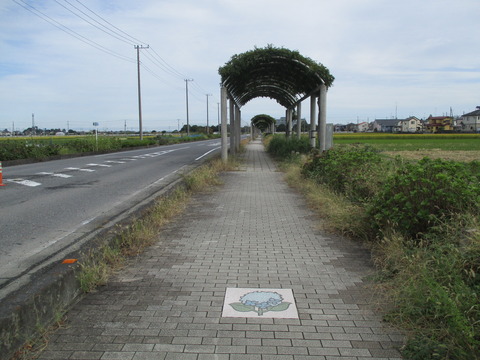 208ふじとあじさいの道2