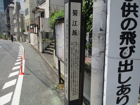 49蜀江坂２