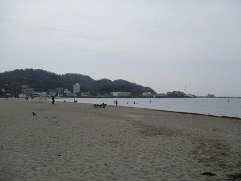 81砂浜3