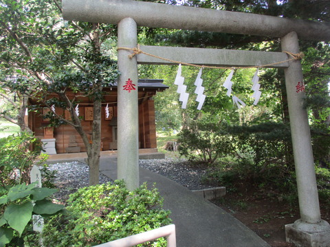 37氷川神社28